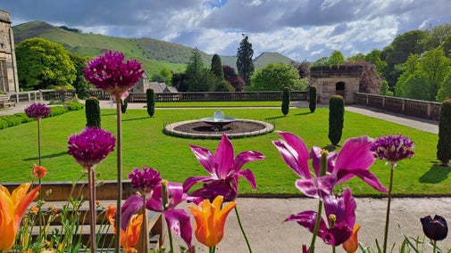 Purple and orange flowers growing in the Italian Gardens at Ilam Park with a lawn and fountain in the background and with views over trees and hills in the distance
